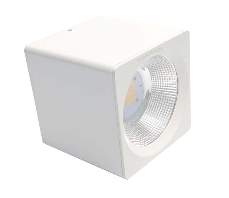 Square LED Downlight